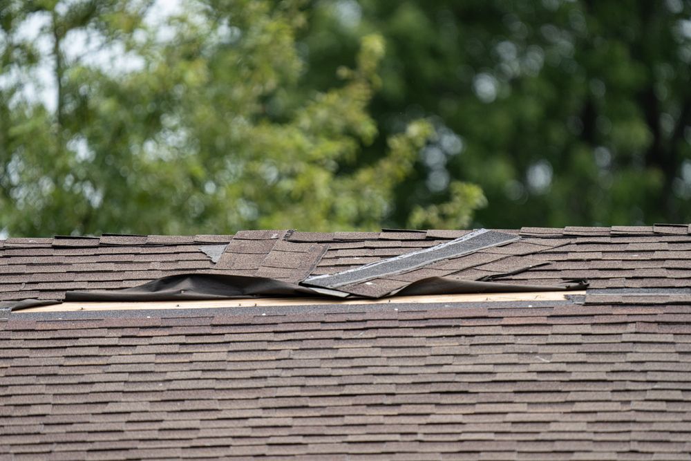 Damaged brown shingle roof with missing shingles; green trees in the blurry background.
